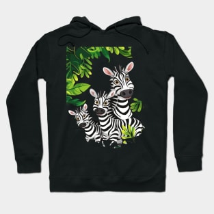 Zebra Educational Outreach Hoodie